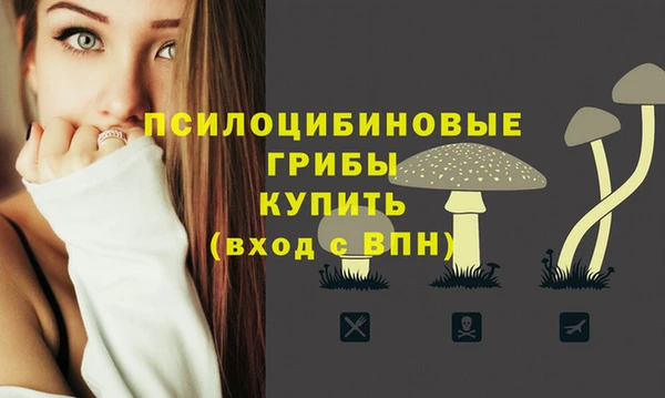 МДПВ Арсеньев