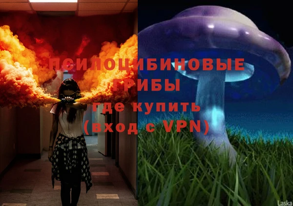 не бодяженный Аркадак