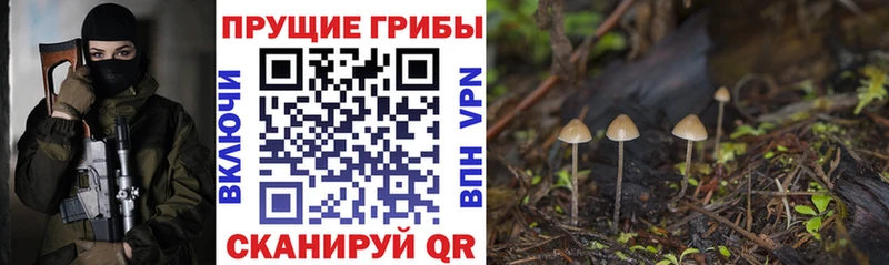 Галлюциногенные грибы Cubensis  купить  цена  Пушкино 
